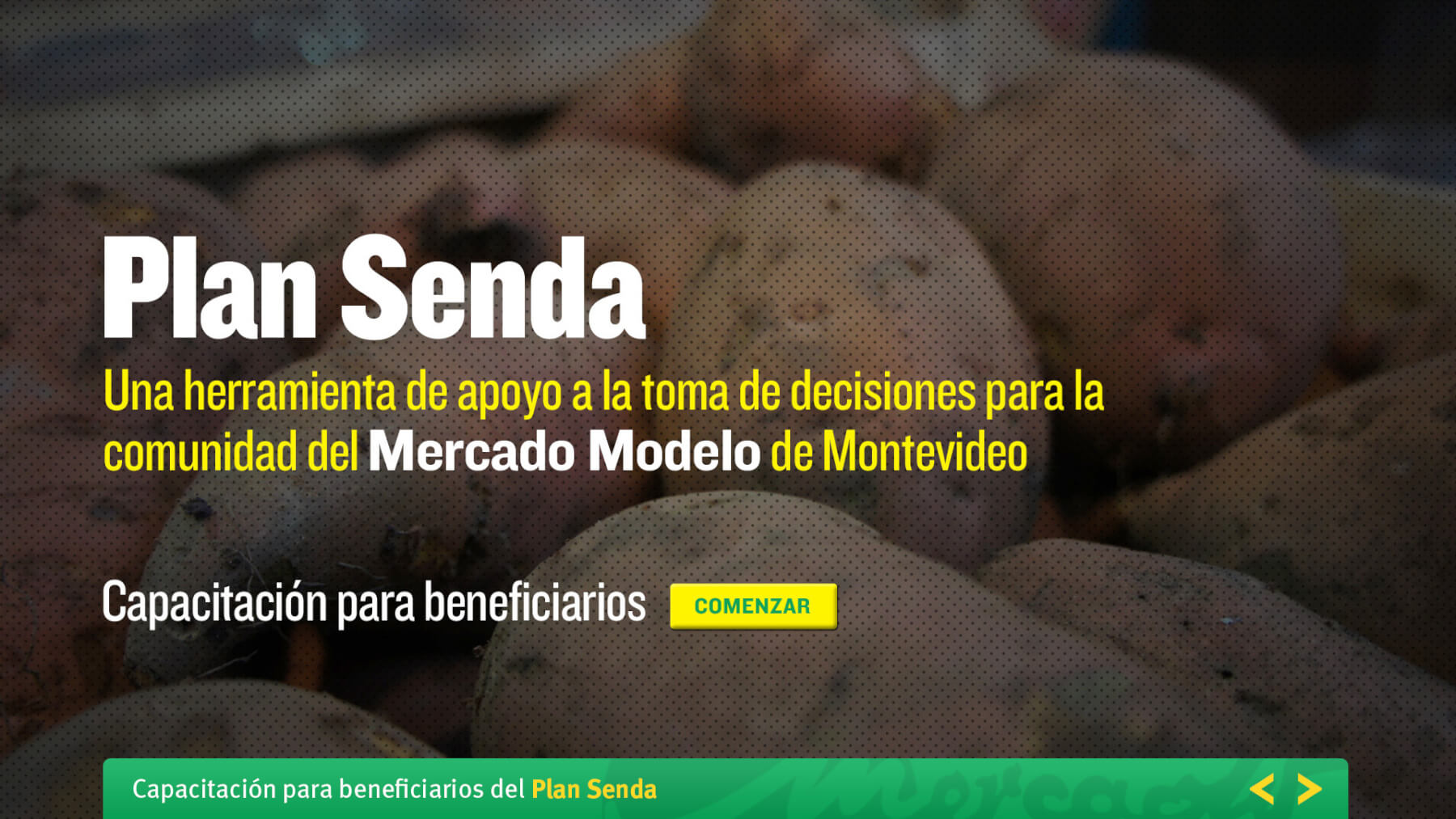 Mercado_Modelo_c